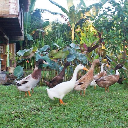 Villa Jasri Dalem Surf Retreat Esterno foto
