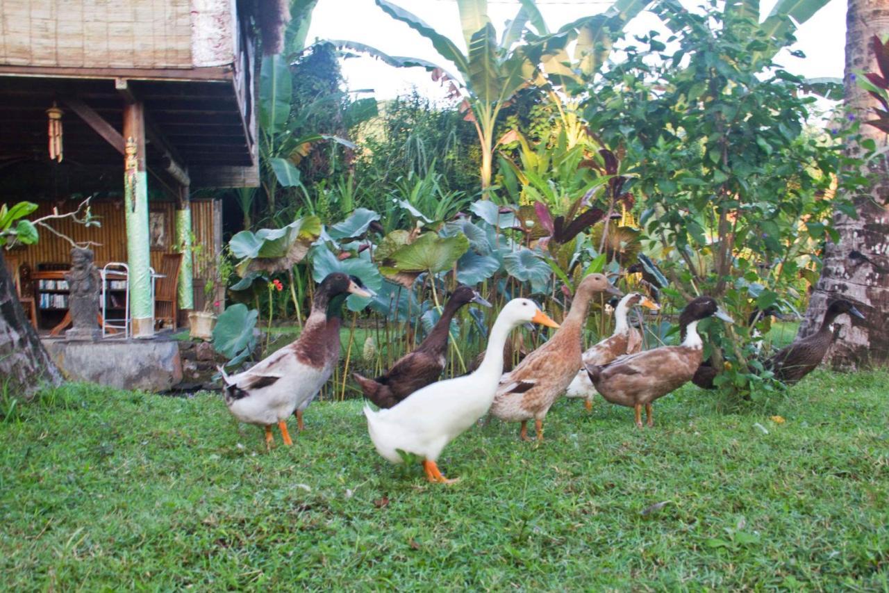 Villa Jasri Dalem Surf Retreat Esterno foto